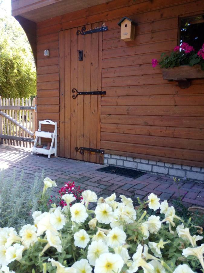 Woodstock B+B Villa Drouwenermond Eksteriør billede