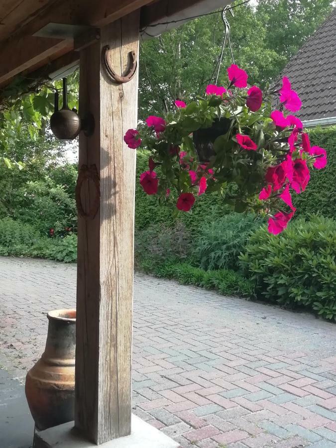 Woodstock B+B Villa Drouwenermond Eksteriør billede