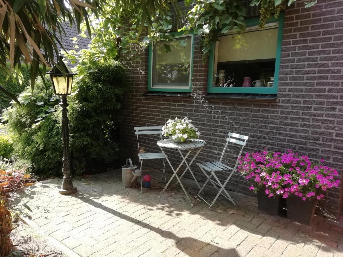 Woodstock B+B Villa Drouwenermond Eksteriør billede